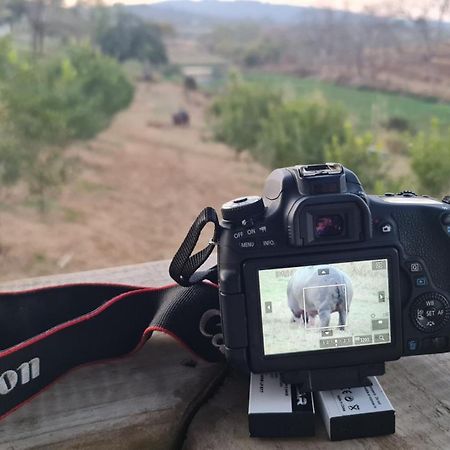 Letaba River Studio Apartment Tzaneen Kültér fotó