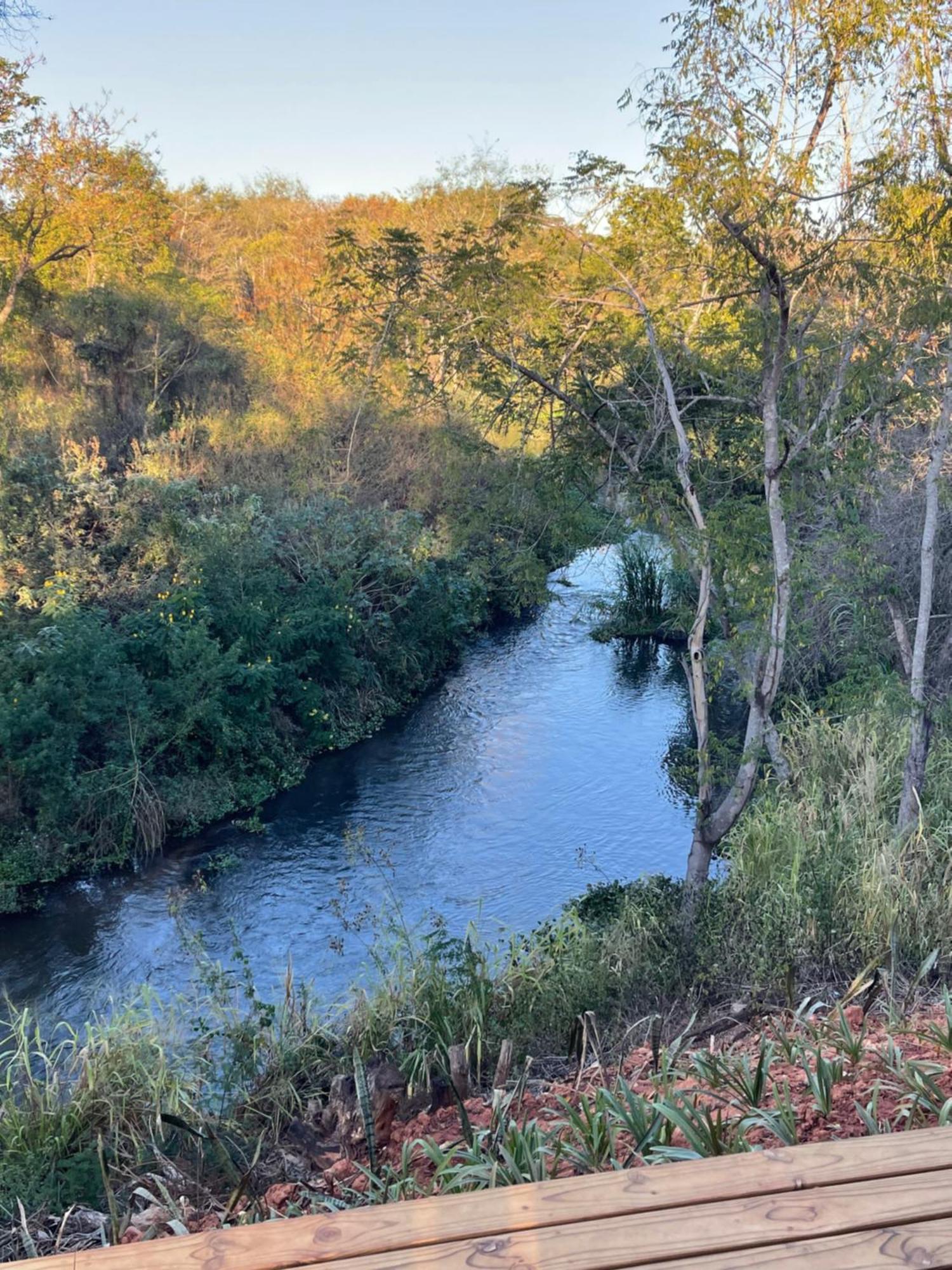 Letaba River Studio Apartment Tzaneen Kültér fotó