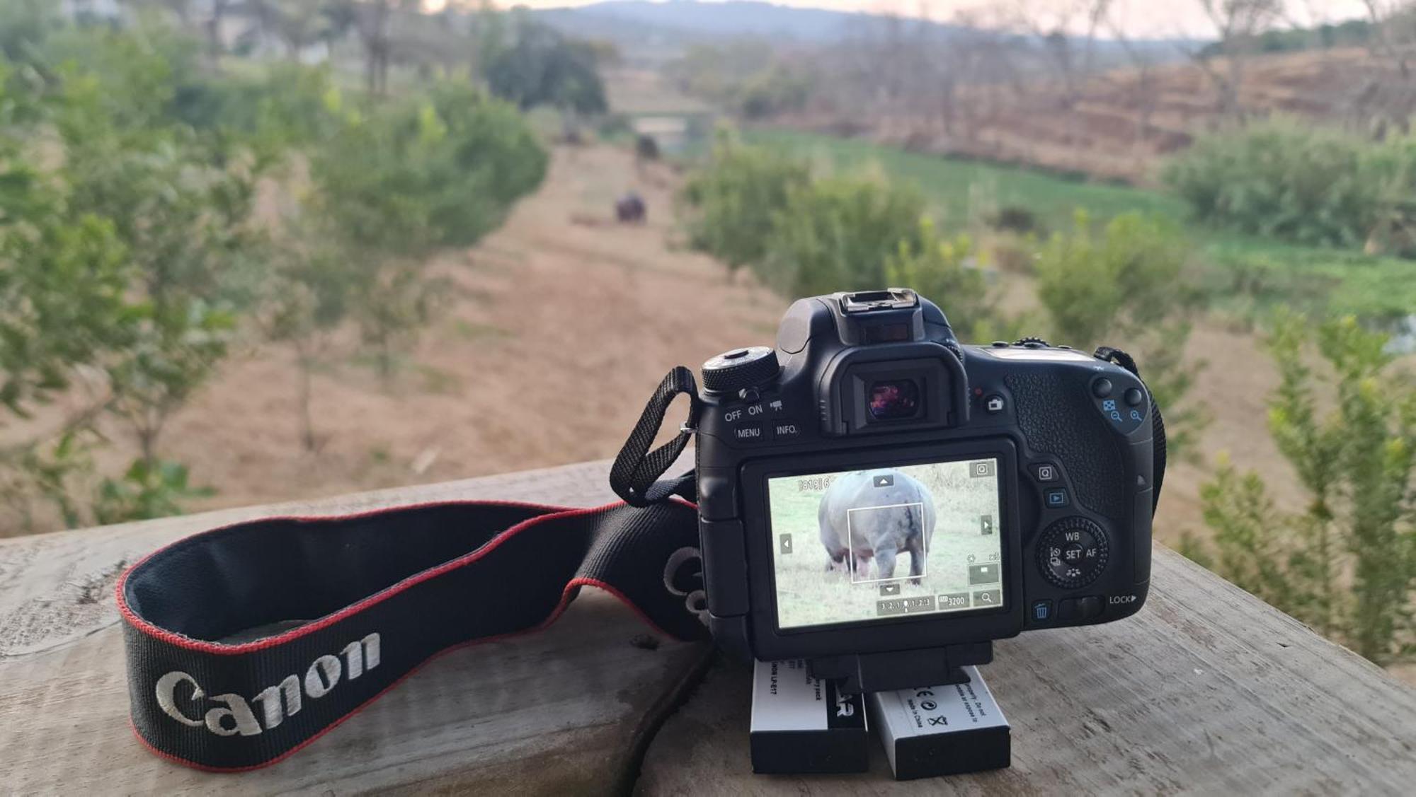 Letaba River Studio Apartment Tzaneen Kültér fotó